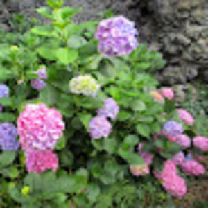 Meet your Posher, Terri